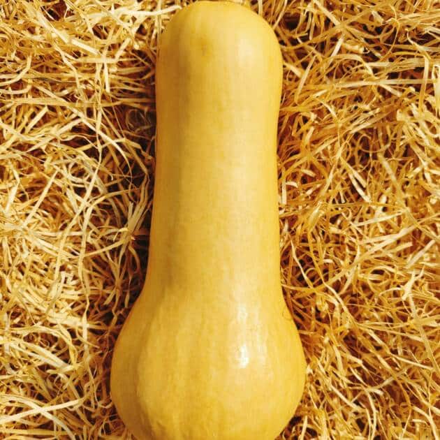 Butternut