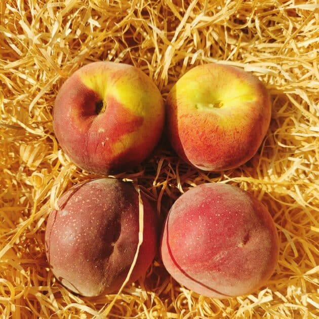 Pêches/Nectarines (1kg)