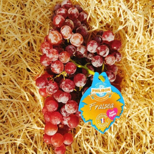 Raisin philibon