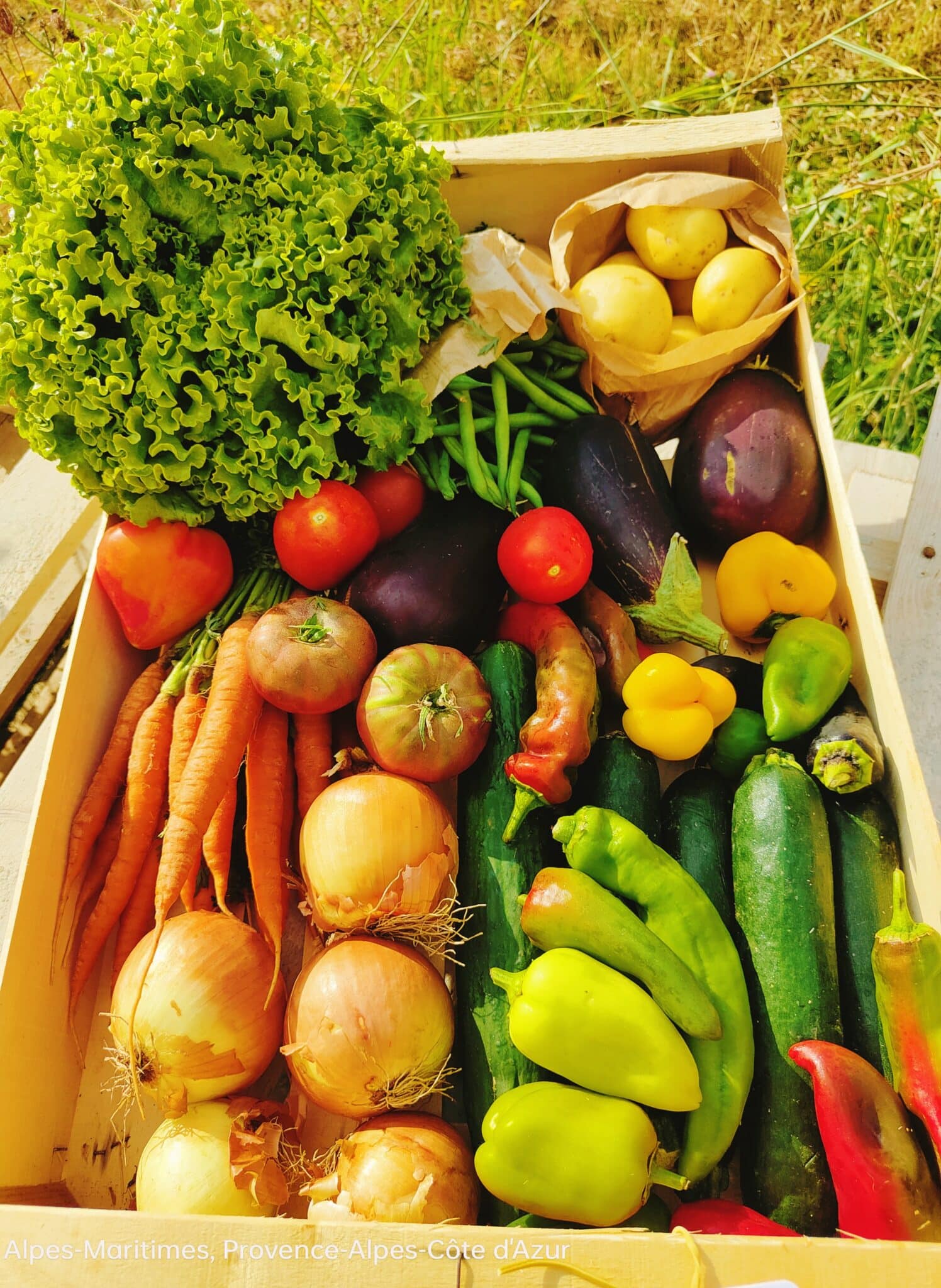 Livraison à domicile de paniers de légumes frais 7-8kg